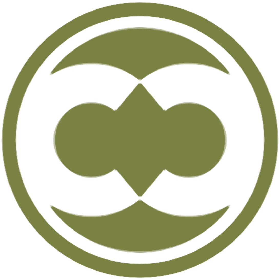 zyberraum Logo
